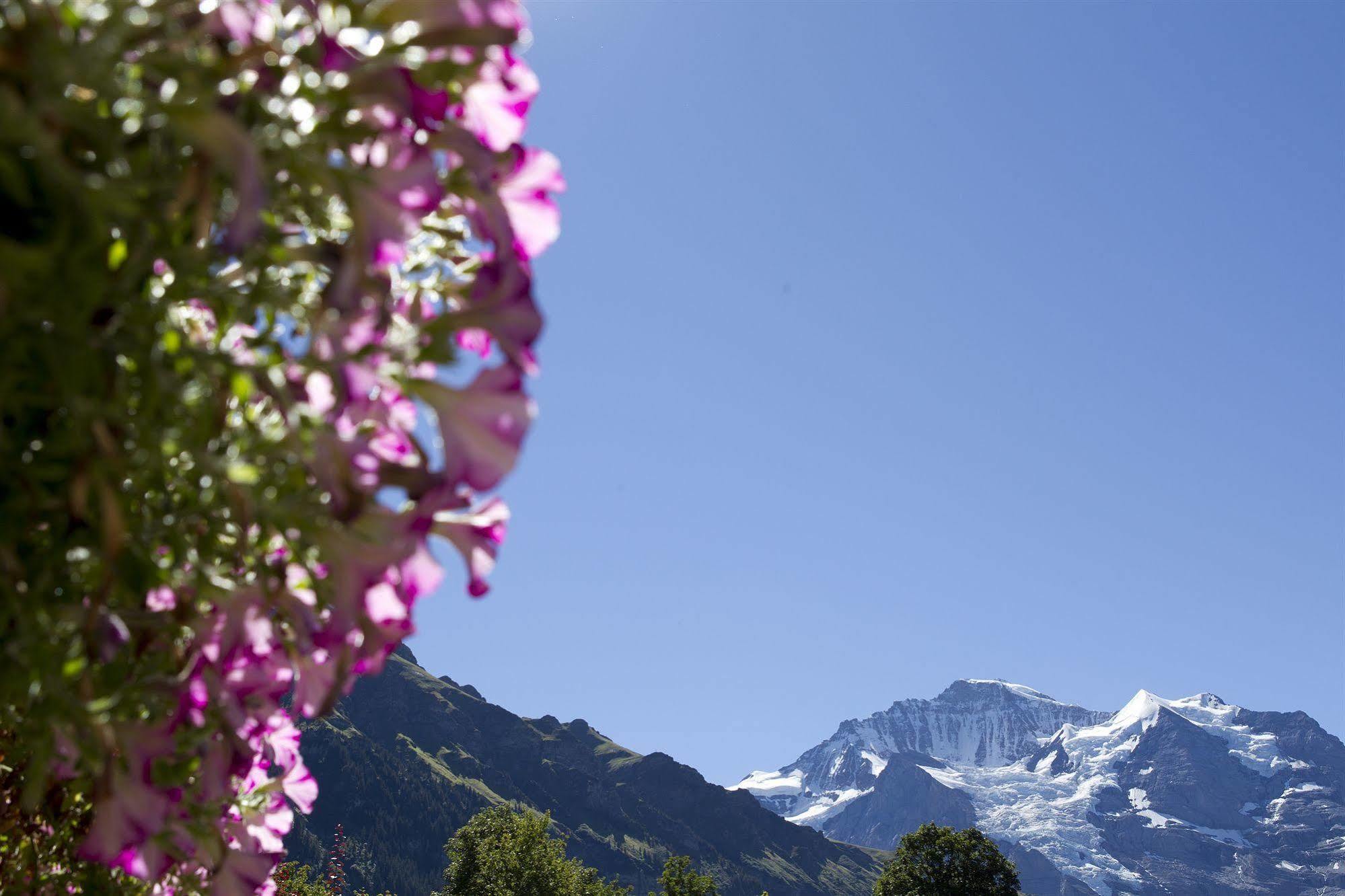 Chalet Miravalle Villa Wengen Bagian luar foto